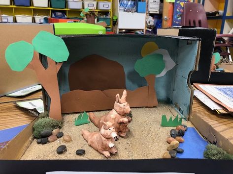 Shoe box diorama of Australian wallabies--wallabies done in Model Magic Australian Outback Diorama, Australia Diorama, Kangaroo Habitat, Shoe Box Diorama, Habitat Project, Australia For Kids, Habitats Projects, Homework Ideas, Zoo Project