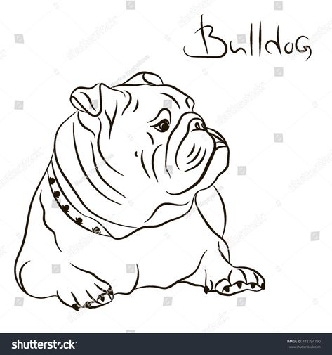 Bulldog Line Drawing, Anjing Bulldog, English Bulldog Art, Bulldog Images, Bulldog Drawing, American Bulldog Puppies, Bulldog Tattoo, Bulldog Mascot, Tattoo Old School