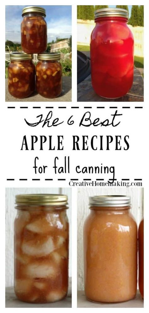 Canning Apples For Apple Crisp, Jarred Apple Pie Filling, How To Can Fried Apples, Gala Apple Canning Recipes, How To Can Apples For Apple Pie Filling, Best Canned Applesauce Recipe, Ideas For Canning Apples, Canning Recipes For Diabetics, Chunky Apple Sauce Recipes Canning