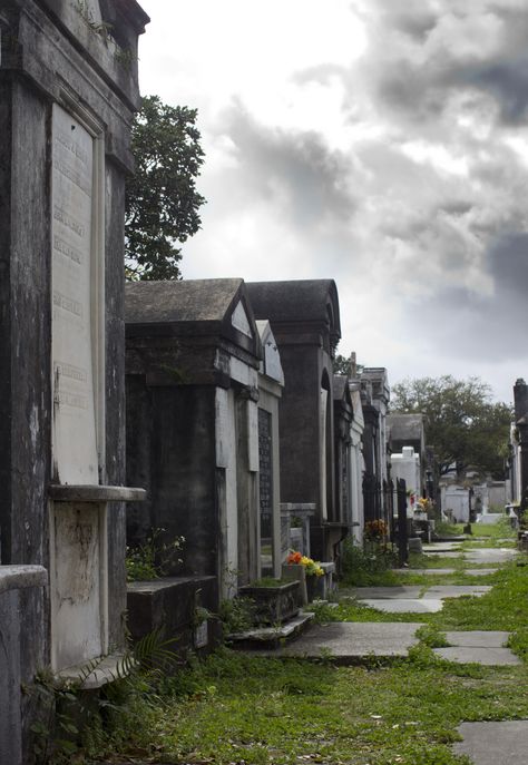 New Orleans New Orleans Cemeteries, Lafayette Cemetery, The Graveyard Book, Cemetery Art, St Anne, Ghost Tour, Dream Places, Beautiful Beautiful, Southern Girl