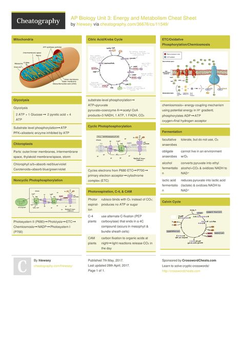 AP Biology Unit 3: Energy and Metabolism Cheat Sheet from hlewsey. Ch 10: Photosynthesis; Ch 9: Cellular Respiration Ap Bio Unit 1, Biology Cheat Sheet, Biology Binder Cover, Basic Microbiology, Ap Biology Notes, Biology Tips, Biology Exam, Notes College, Biology Memes