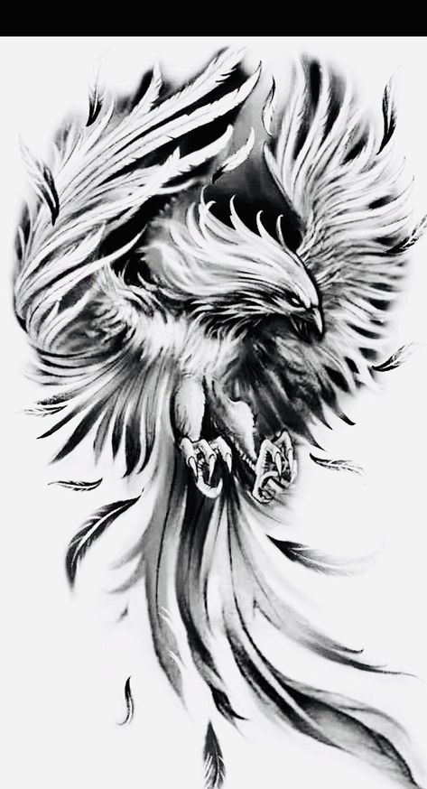 Phoenix Tattoo Stencil, Fenix Tattoo Design, Phoenix Tattoo Men, Phoenix Tattoo Sleeve, Phoenix Tattoo Ideas, Phoenix Tattoo For Men, Half Sleeve Tattoos Sketches, Thigh Tattoo Men, Tattoo Homme