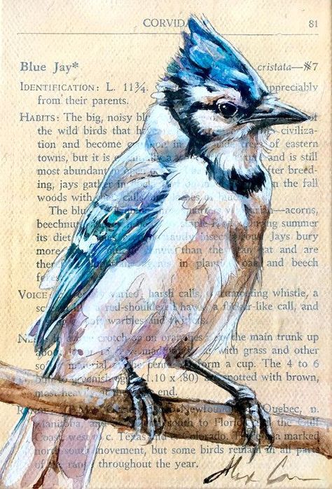 Wildlife Paintings — Alexa Carson | Wildlife paintings, Watercolor paintings of animals, Blue jay art Blue Jay Art, Sacred Feminine Art, Paintings Of Animals, Watercolor Paintings Of Animals, Watercolor Paintings Nature, Sheet Music Art, Book Page Art, Paintings Watercolor, Wildlife Paintings