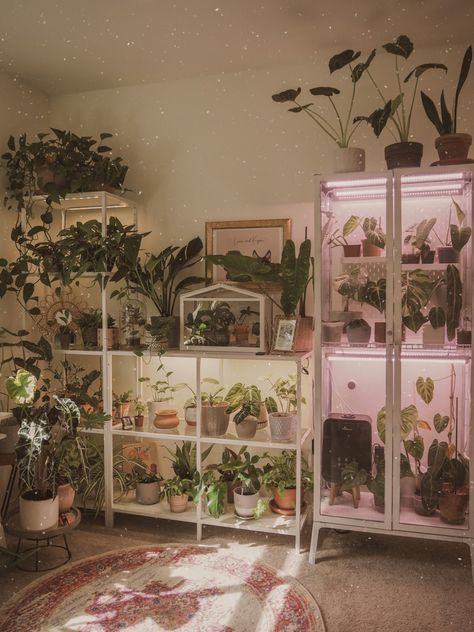 Plant Display With Grow Lights, Plant Room Organization, Plant Room Set Up, Plant Cabinet Display, Plant Filled Room, Indoor Plant Setup, Plant Cabinet, Plant Setup, Earthship Home