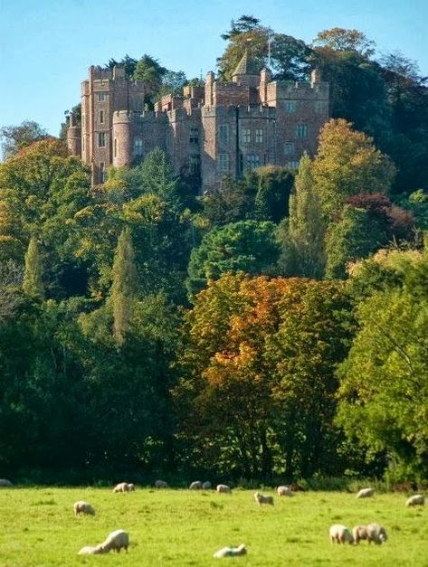 Dunster Castle. Exmoor. Somerset, UK. The castle is wonderful but the Grounds are exceptional ☆ Dunster Castle, Uk Castles, Castle England, British Castles, Old Castle, English Castles, Somerset England, Stately Homes, Manor Houses