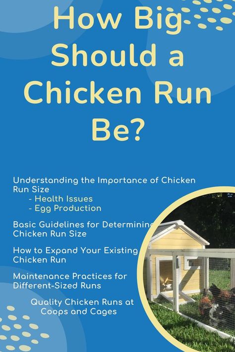 How Big Should a Chicken Run Be? Chicken Tractors, Chicken Run, Raising Backyard Chickens, Egg Production, Chicken Runs, Egg Laying, Chicken Coops, A Chicken, Chickens Backyard