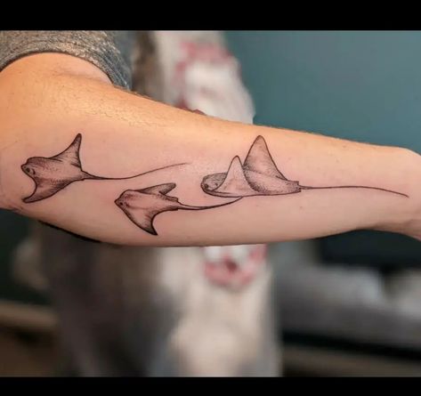 Trashy Tattoo Placement, Stink Ray Tattoo, Sting Ray Tattoo With Flowers, Stingray Tattoo Back Of Arm, Cownose Sting Ray Tattoo, Cow Nose Ray Tattoo, Stingray Arm Tattoo, Stingray Leg Tattoo, 3 Stingray Tattoo