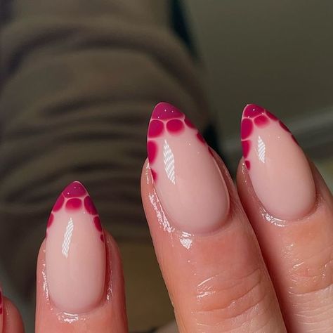 Sarah Elizabeth Cox on Instagram: "Obsessed with these croc print French tips! Bringing a little wild style to the classic French. 🐊✨   #NailArt #CrocPrintNails #FrenchTipTwist”  all appointments are based at @lavella_hair SG4 7DP  •  •  •  •  #nailtech #nailtechhitchin #stevenagebiab #biabnailshitchin #hitchinnailtechnician #letchworthnails #hitchinnails #loveglossify #usemeglossify #nailtechorg #biabnails #mani #manicure #summernails #holidaynails #autumnnails #hbafinal2024 #hbafeatured" Croc Tip Nails, Crocodile French Tips, Croc French Tip Nails, Croc Print Nails, Sarah Elizabeth, Nude Nail Designs, Nude Nail, Croc Print, Tip Nails