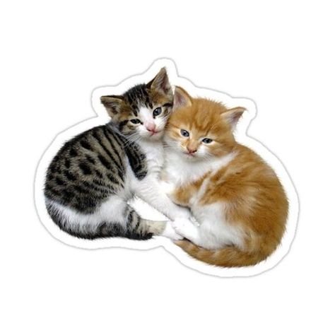 1,85 $ #StickerArt Stickers Random, Stickers To Print, Cute Laptop Stickers, Stickers Ideas, Journal Sticker, Stickers Design, Anime Stickers, Sticker Ideas, Cat Stickers