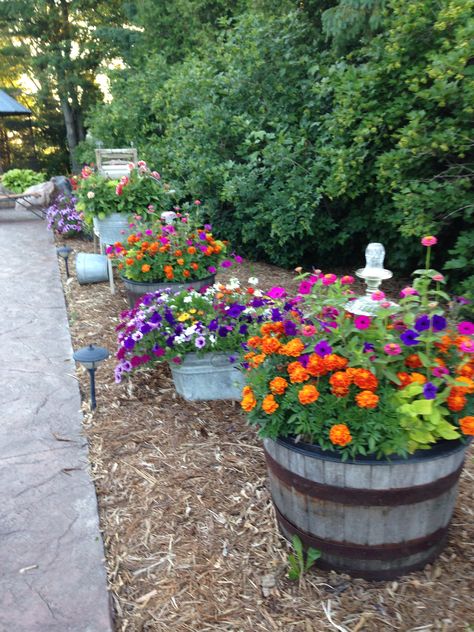 Front Container Garden, Rustic Landscaping Ideas Around House, Gardening Flowers Ideas, Garden Flower Ideas, Flower Box Garden, Spilled Flower Pot Ideas, Garden Flowers Ideas, Spilled Flower Pot, Flower Bed Garden