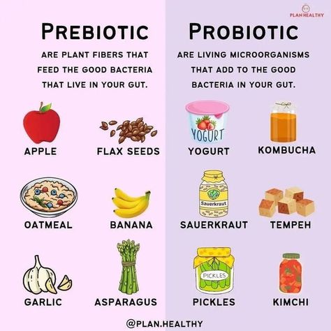 thegurlhealth on Instagram: "The human gastrointestinal tract is colonised by a complex ecosystem of microorganisms. Intestinal bacteria are not only commensal, but they also undergo a synbiotic co-evolution along with their host. Beneficial intestinal bacteria have numerous and important functions, e.g., they produce various nutrients for their host, prevent infections caused by intestinal pathogens, and modulate a normal immunological response. Therefore, modification of the intestinal microbi The Fast 800, Probiotics And Prebiotics, Fast 800, Prebiotic Foods, Gut Health Diet, Clean Eating Plans, Gastrointestinal Tract, Healthy Facts, Healthy High Protein Meals