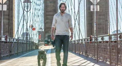 Why Keanu Reeves is a perfect action star John Wick 2014, Wolverine 2009, News Logo, John Wick Movie, Keanu Reeves John Wick, Gossip Girls, Julia Louis Dreyfus, Film Anime, Keanu Charles Reeves