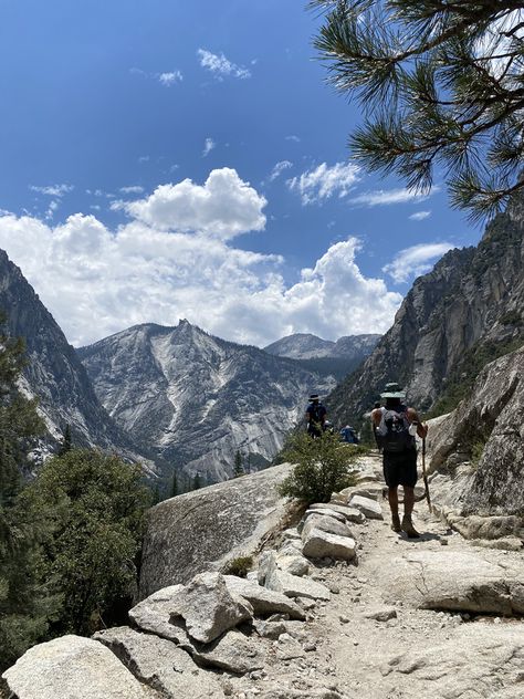 California Parks, Kings Canyon National Park, Hiking Spots, Kings Canyon, Sequoia National Park, Road Trip Planning, Top Travel Destinations, Big Tree, Scenic Routes