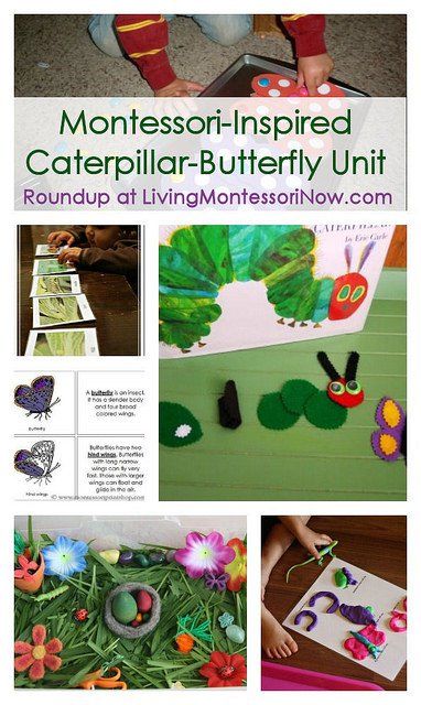 Free Butterfly Printables, Insect Unit Study, Butterfly Activities, Butterfly Lessons, Caterpillar Butterfly, Insect Unit, Insects Preschool, Montessori Science, Butterflies Activities