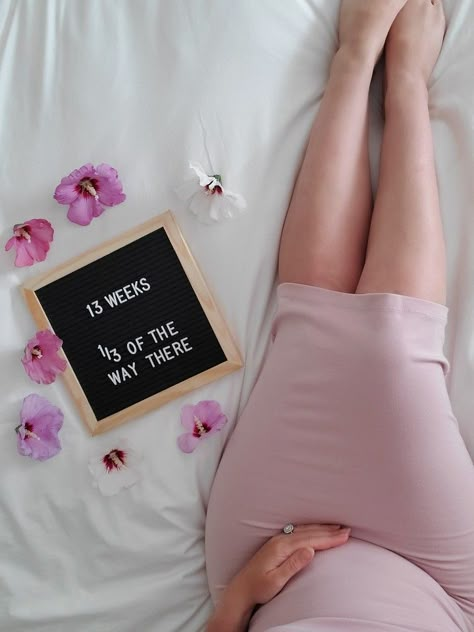 2nd Trimester Photos, 1st Trimester Photoshoot, First Trimester Pictures, 2nd Trimester Photoshoot, Pregnancy Journey Photos, Week By Week Pregnancy Photos, Maternity Selfie, Pregnancy Letter Board, 2nd Trimester Pregnancy