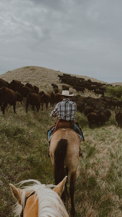 Montana Cowboy Things Colorado Cowboy Aesthetic, Montana Cowboy Aesthetic, Booktok Pictures, Old Cowboy Aesthetic, Modern Cowboy Aesthetic, Montana Cowboy, North Dakota Badlands, Dairy Boy, Western America