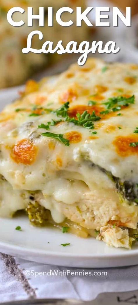 Slowcooker Lasagne, Chicken And Broccoli Lasagna, Broccoli Lasagna Recipe, Broccoli Lasagna, Lasagna Recipe Easy, Chicken Lasagne, Chicken Lasagna Recipe, Lasagna Recipe With Ricotta, Classic Lasagna Recipe