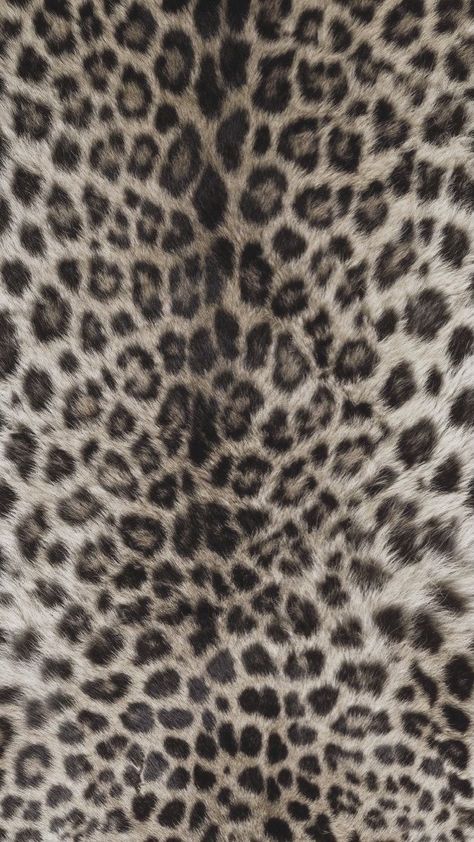 Boho Desktop Wallpaper, Wallpaper Coastal, Aesthetic Wallpaper Summer, Leopard Print Wallpaper, Cheetah Print Wallpaper, Wallpaper Aesthetic Wallpaper, Wallpaper Boho, Wallpaper Summer, Sassy Wallpaper