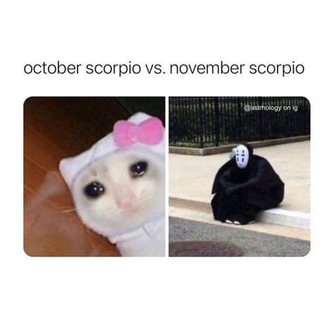 October Scorpio, November Scorpio, Scorpio Funny, Isfj Personality, Scorpio Art, Relationship Astrology, Scorpio Zodiac Facts, Scorpio Quotes, Zodiac Signs Scorpio