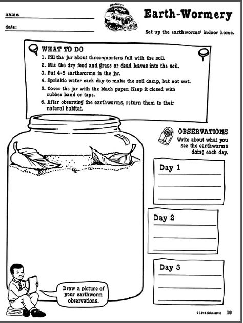 Worm Jar Habitat Activity Worm Worksheet, Worm Science, Wild Schooling, Journal Jar, Earth Worm, School Times, Grade 3 Science, Mini Beasts, The Magic School Bus