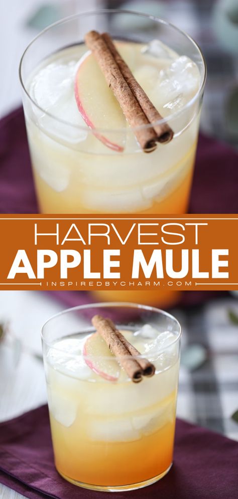 The perfect fall alcoholic drink for a party! With a combo of Moscow Mule plus apple cider, this easy Thanksgiving cocktail is delicious and refreshing. Save this harvest apple mule recipe and try it! Fall Moscow Mule Pitcher Recipe, Crown Apple Mule Recipe, Thanksgiving Mule Recipe, Apple Mule Recipe, Moscow Mule Pitcher Recipe, Thanksgiving Cocktails Pitcher, Thanksgiving Mule, Fall Alcoholic Drinks Easy, Fall Moscow Mule