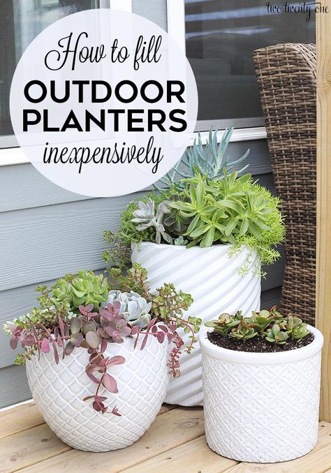 Outdoor Planter Tip + Easy Succulent Planters #planters #outdoorplanterpots Accent Plants, Succulent Garden Outdoor, Diy Planters Indoor, Yard Crashers, Succulent Outdoor, Wood Succulent Planter, Succulent Garden Landscape, Outdoors Ideas, Large Outdoor Planters