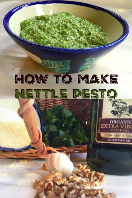 Marblemount Homestead: How to make nettle pesto, and why everyone should eat it Nettle Pesto Recipe, Nettle Pesto, Nettle Recipes, Foraging Recipes, Foraged Food, Pesto Recipe, Vegetarian Cooking, March 5, Detox Recipes