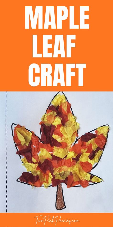 Text that says maple leaf craft below the text is an image of the template with torn orange, yellow, and red tissue paper on it. Color Changing Leaf Craft, Leaves Craft For Preschoolers, Preschool Tissue Paper Crafts, Leaves Art For Preschool, Kindergarten Fall Crafts Art Projects, Fall Leaf Activity Preschool, Leaf Craft For Kindergarten, Leaf Tissue Paper Craft, Leaf Collage Preschool