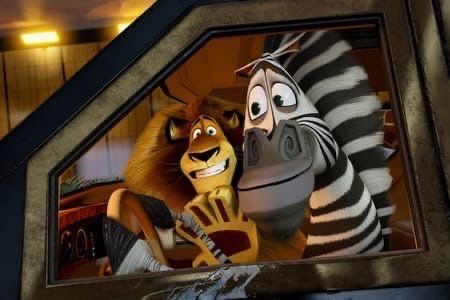 Alex And Marty, Animation Dreamworks, Madagascar Movie, 4 Family, Penguins Of Madagascar, Ben Stiller, Circus Animals, African Lion, Dreamworks Animation