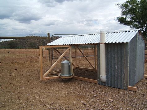 Sheet Metal Chicken Coop Tractor, Quail Pen, Chicken Enclosure, Best Egg Laying Chickens, Backyard Chicken Coop Plans, Egg Laying Chickens, Chicken Tractors, Chicken Owner, Chicken Feeders