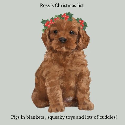 Meet Rosy 🎄 . . . . . #cockapoo #cockapoo_corner #cockapoopuppy #petportraitartist #petportrait #petportraitsofinstagram #illustration #doglovers #dogs #digitaldrawing #dogoftheday #dogsofinstagram #artist Dog Illustrations, Cockapoo Puppies, Greeting Card Illustration, Dog Illustration, Card Illustration, Portrait Artist, Pet Portrait, Dog Days, Pet Portraits