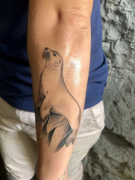 Arctic Animal Tattoo, Sea Lion Tattoo, Lion Tattoo Simple, Sea Lion Art, Seal Tattoo, Tattoo Lion, Favorite Tattoos, Tattoo Simple, Sleeves Ideas