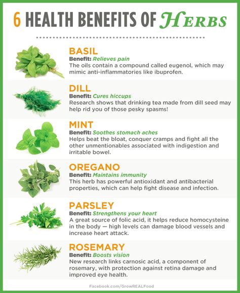 6 Health Benefits of Herbs  For Health & Wellness Tips, Gardening Tips, Homesteading Ideas & More visit www.GrowRealFood.com Mint Benefits, Parsley Benefits, Benefits Of Herbs, Herbs For Health, Stomach Ache, Herbs Indoors, Healing Herbs, Natural Herbs, Health Remedies