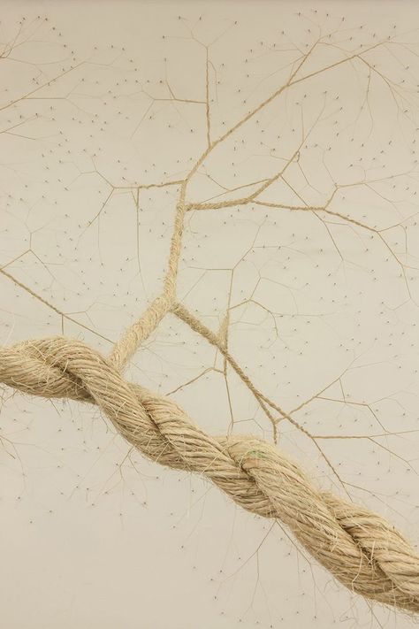 Natural Paths, Rope Installation, Rope Sculpture, Mason Jar Pendant Light, Web Design Resources, Coral Design, Everyday Art, Tableau Art, Tree Sculpture