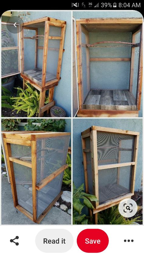 Stick Insects, Butterfly Cage, Butterfly Habitat, Stick Insect, Diy Butterfly, Butterfly House, Chicken Coops, Butterfly Garden, Chicken Coop