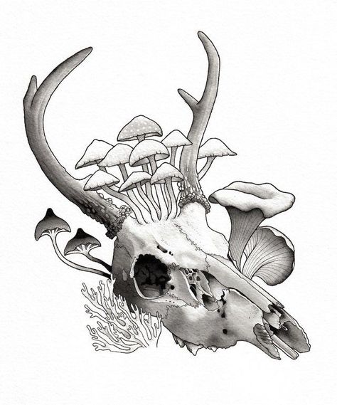 Deer Skull Drawing, Animal Skull Drawing, Stag Skull, Deer Skull Tattoos, Deer Skull Art, Deer Drawing, Skeleton Drawings, Animal Skeletons, Animal Skull