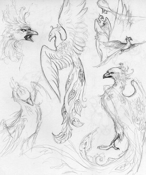 Flamin' chikkins ;D Phoenix Drawing, Phoenix Tattoo Design, Seni Vintage, Výtvarné Reference, Phoenix Art, Phoenix Tattoo, Creature Drawings, Mythical Creatures Art, Animal Sketches