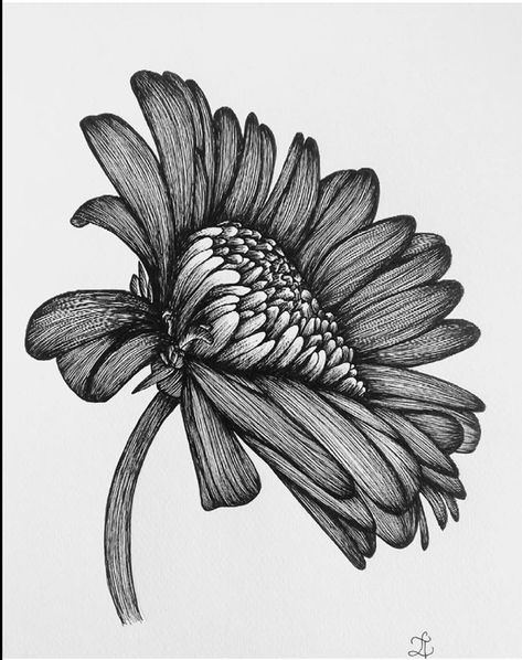 Sunflower Leaves, Sunflower Art, Stippling, Lotus Flower Tattoo, Drawing Ideas, Pen And Ink, Flower Tattoo, Art Ideas, Sunflower