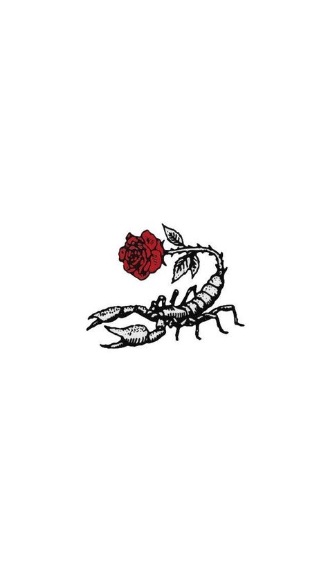 Scorpio Drawing Art, Scorpio Drawing, Scorpio Tattoo, Small Tattoos Simple, Fantasy Photography, Dainty Tattoos, Mini Tattoos, Inspirational Tattoos, Drawing Art