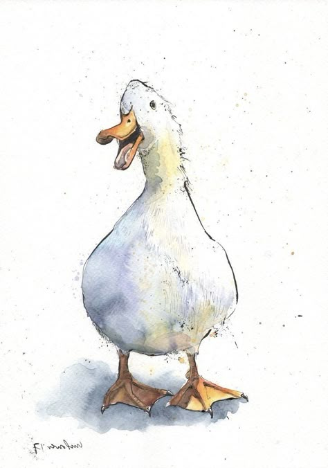 Bird Watercolor Paintings, Duck Art, Watercolour Inspiration, Bohol, A Duck, Pen And Watercolor, White Duck, Bird Drawings, Watercolor Inspiration