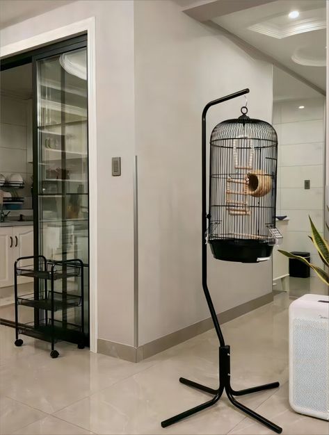 Tucker Murphy Pet™ Aleyah 66.92 Bird Cage & Reviews - Wayfair Canada Modern Bird Cage, Bird Cage Ideas, Big Bird Cage, Bird Cage Design, Pet Bird Cage, Modern Birds, Anime Backgrounds, Cool Anime Backgrounds, Pet Bird