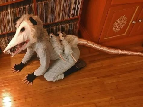 Opossum Costume, Possum Costume, Rat Costume, Animal Halloween Costumes, Cosplay Halloween Costumes, Cat Halloween Costume, Unique Halloween Costumes, Animal Costumes, Halloween Costume Contest