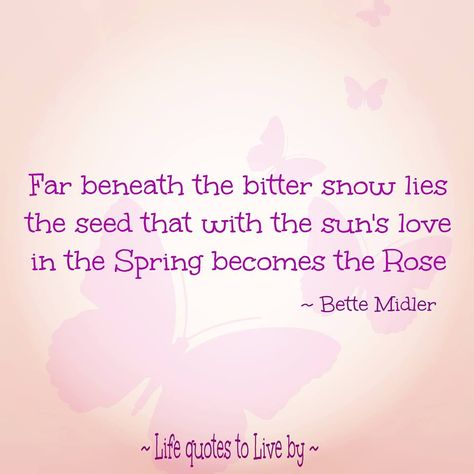 The Rose - Bette Midler Musical Lyrics, Bette Midler, Lyrics I Love, Nice One, Soundtrack Of My Life, Quantum Mechanics, Learn To Dance, Quotes Inspiring, Life Quotes To Live By