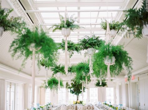 Hanging Ferns Wedding, Ceiling Photography, Fern Wedding Decor, Ferns Wedding, Hanging From Ceiling, Hanging Ferns, Mardi Gras Wedding, Fern Wedding, Plants Hanging