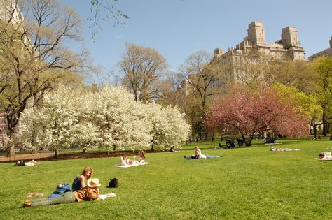 Pack up your basket with delectable treats and head to one of these secluded areas in Central Park in New York Picnic In Central Park, Central Park Picnic, 숲 사진, Honeymoon Places, Jimin Park, Nyc Park, Park In New York, Picnic Spot, Outdoor Food