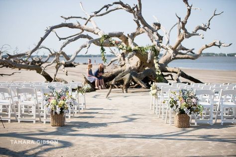 Villas by the Sea Resort - Jekyll Island, GA #1 Wedding Reception At Home, Georgia Beaches, Jekyll Island Georgia, Georgia Coast, Georgia Wedding Venues, Sea Resort, Driftwood Beach, Jekyll Island, Wedding Beach Ceremony