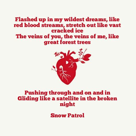 Snow patrol band music song lyrics aesthetic Snow Patrol Lyrics, Snow Patrol, Lyrics Aesthetic, Band Music, Music Song, Music Songs, Music Bands, Song Lyrics, Songs