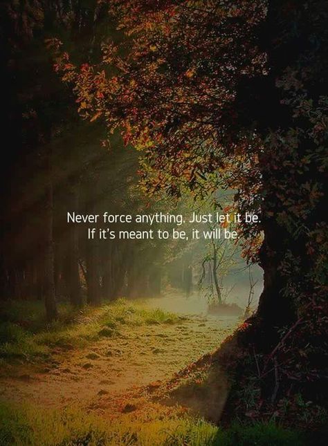 Never force anything. Just let it be. If it's meant to be, it will be. Never Force Anything, Best Smile Quotes, A Course In Miracles, Outdoor Quotes, Truth Quotes, Nature Quotes, Quotable Quotes, A Quote, Famous Quotes