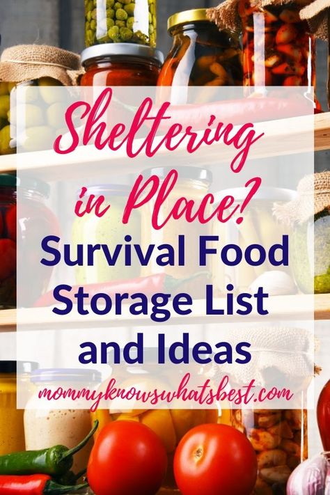 Not sure what pantry essentials to store in case of emergency? Get this survival food storage list to keep your pantry stocked and ready for any emergency. | emergency preparedness | pantry essentials checklist Food Essentials List, Food Storage List, Pantry Essentials List, Emergency Preparedness Checklist, Food Essentials, Emergency Preparedness Food Storage, Survival Food Storage, Preppers Pantry, Canned Meats