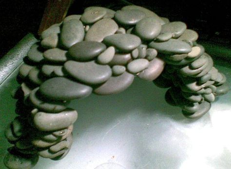 DIY Stone Axolotl Hide - petdiys.com Diy Bearded Dragon Enclosure, Bearded Dragon Terrarium Ideas, Diy Reptile, Axolotl Tank, Bearded Dragon Diy, Reptile Decor, Reptile Hide, Snake Tank, Turtle Habitat